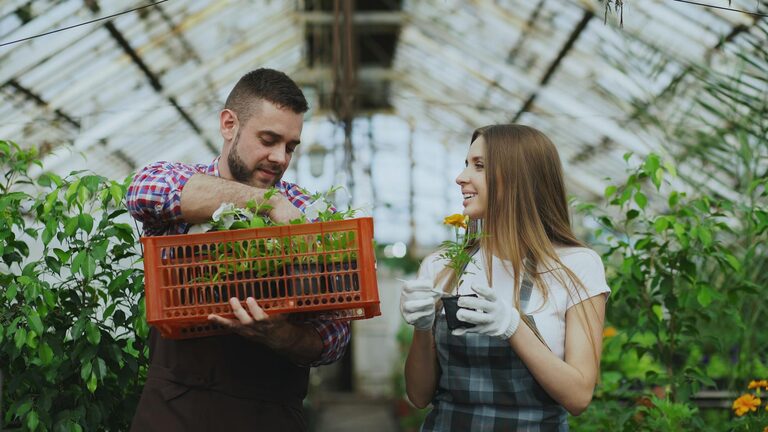 Practical Tips for Creating a Sustainable Home Garden All Year Round